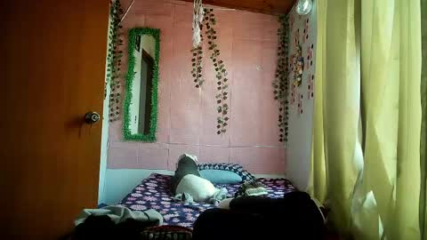 paula online show from April 20, 2026, 9:16 pm