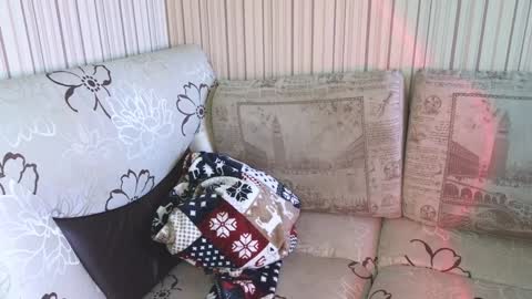 Cameron online show from January 17, 2025, 9:17 am