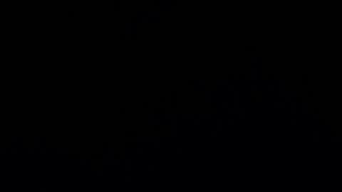 camilio96 online show from December 7, 2024, 2:09 am