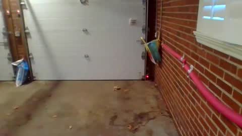 cammyman6900 online show from December 9, 2024, 1:34 pm