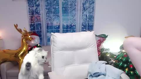 candy8998 online show from December 16, 2024, 12:16 pm