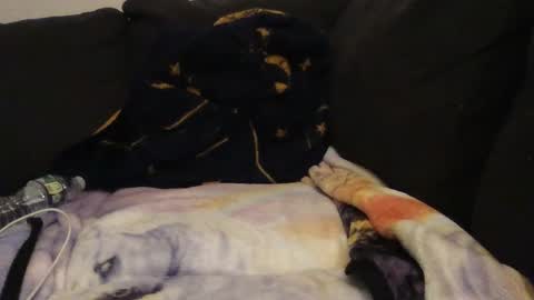     online show from September 14, 2025, 2:22 am