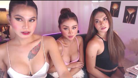 caprize_diva online show from February 13, 2026, 9:38 am