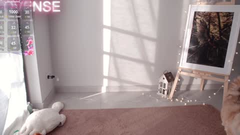 NONA    follow online show from December 31, 2024, 8:37 am