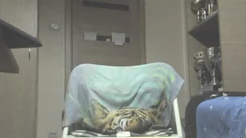 Snapshot of carin_the_body chatting on July 11, 2026, 11:50 pm Laz online show from July 11, 2026, 11:50 pm