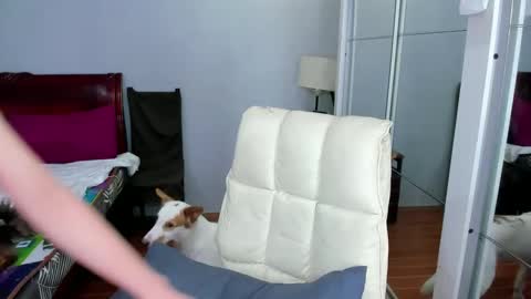 carla_bigcock09 online show from February 20, 2025, 11:09 am