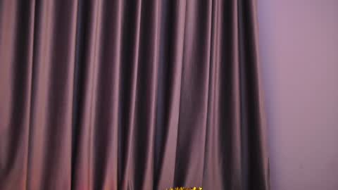 CarlaGavin online show from December 28, 2024, 1:38 pm