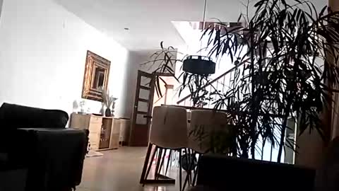 Snapshot of carlitito1 chatting on April 15, 2026, 9:16 am carlitito1 online show from April 15, 2026, 9:16 am