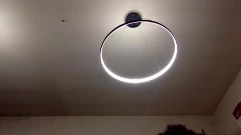 Carlos online show from February 8, 2025, 9:04 pm