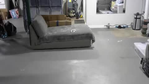 Carl online show from June 4, 2026, 5:19 pm