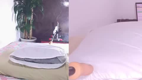 Carol online show from April 13, 2026, 11:27 am