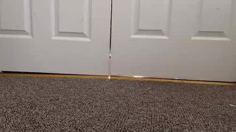 cash13bychanel online show from January 22, 2025, 8:17 pm