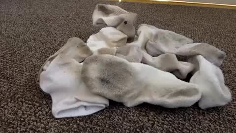 cash13bychanel online show from February 4, 2025, 6:38 pm