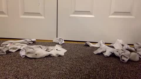 cash13bychanel online show from February 13, 2025, 3:07 am