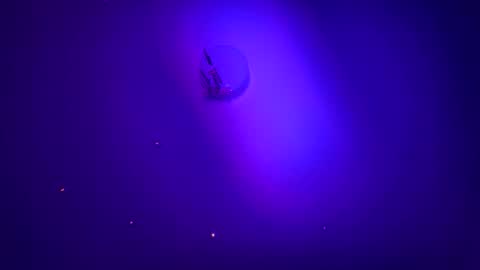 casidy1 online show from January 21, 2025, 6:00 am