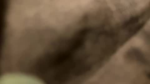 casidy1 online show from February 2, 2025, 11:21 pm