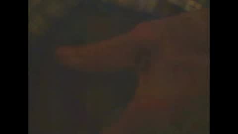 castells online show from February 23, 2025, 6:56 pm