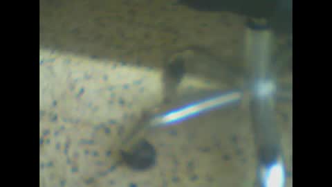 castells online show from March 24, 2026, 5:18 pm