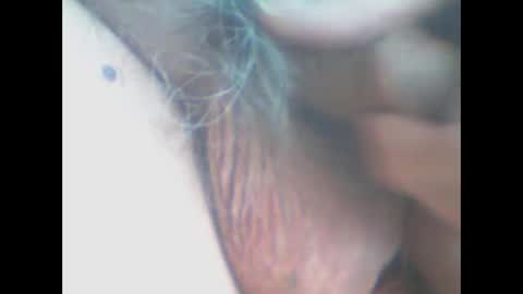 castells online show from April 11, 2026, 4:00 pm