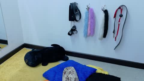 Cata online show from January 21, 2025, 6:02 pm