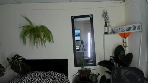 Snapshot of catalinalince chatting on December 22, 2024, 11:09 pm Cataina Lince online show from December 22, 2024, 11:09 pm