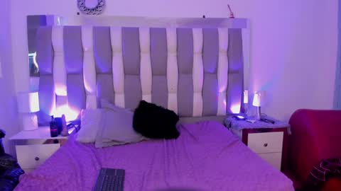 Cat  online show from December 7, 2024, 5:09 pm