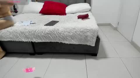 Catleya online show from January 17, 2026, 12:10 pm