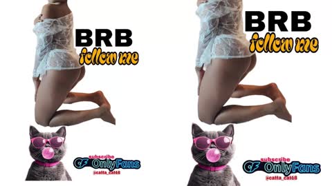 catta cat18 online show from February 23, 2025, 11:04 pm