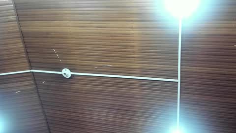 caylincollins online show from February 2, 2026, 12:48 pm