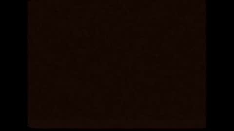 cd_susin online show from December 21, 2024, 10:51 pm