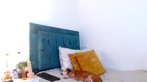 Cedrixx10 online show from February 11, 2026, 8:58 pm