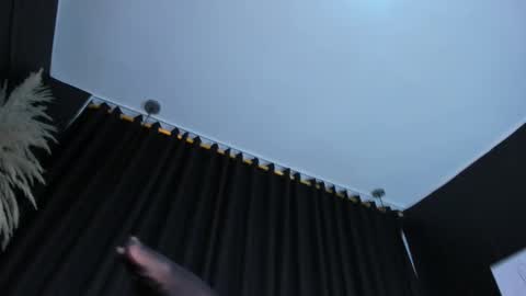 CelinaYHanck online show from November 21, 2025, 1:43 pm