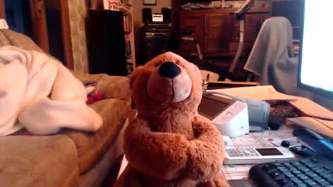 chacoa online show from February 16, 2026, 4:36 pm