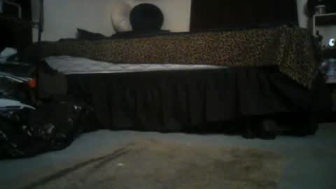 Snapshot of chad_the_blatalian chatting on June 24, 2026, 4:55 am GigaChad online show from June 24, 2026, 4:55 am