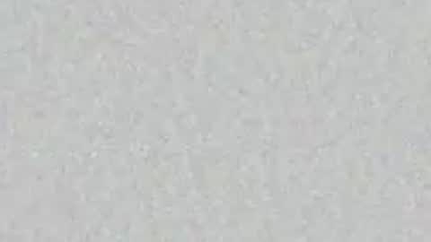 Snapshot of chaddydaddy99 chatting on April 6, 2026, 7:42 am oilmeup online show from April 6, 2026, 7:42 am