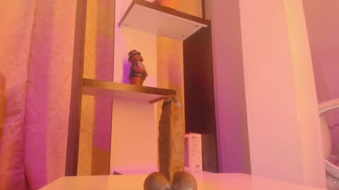 Chantall online show from January 7, 2025, 4:39 am