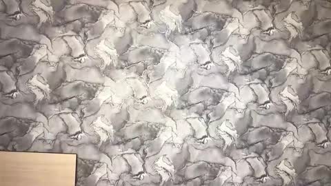 Ayano online show from November 10, 2025, 9:41 am