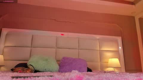    online show from November 12, 2025, 11:32 am