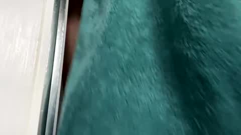 Gary online show from November 29, 2025, 8:50 am