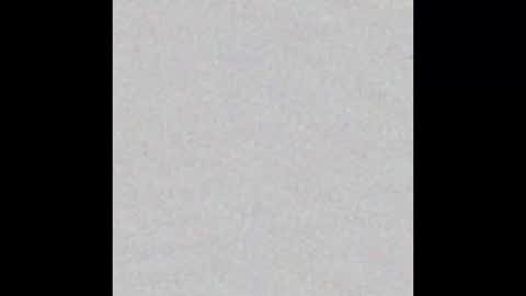 Charlotte online show from February 13, 2025, 3:46 pm