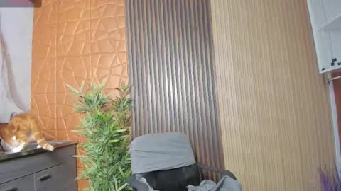 Charlotte  Everyday From 0700 to 1300 Col Time online show from February 17, 2025, 11:02 am