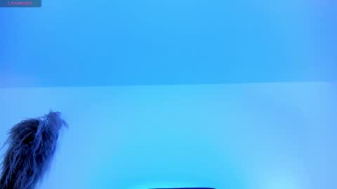 Charlotte  Everyday From 0700 to 1300 Col Time online show from October 12, 2025, 11:53 am