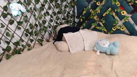 Snapshot of charly_evans60 chatting on February 19, 2025, 12:14 am charly_evans60 online show from February 19, 2025, 12:14 am