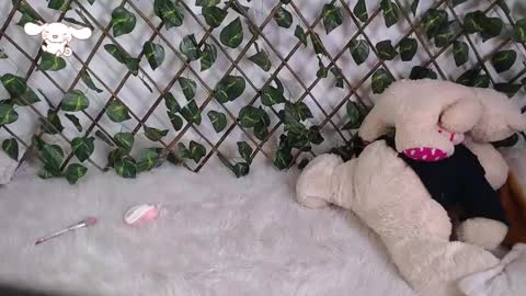 Snapshot of charly_evans60 chatting on February 24, 2025, 9:52 pm charly_evans60 online show from February 24, 2025, 9:52 pm