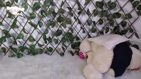 Snapshot of charly_evans60 chatting on February 25, 2025, 9:57 pm charly_evans60 online show from February 25, 2025, 9:57 pm