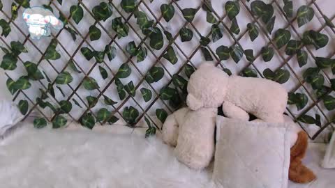 Snapshot of charly_evans60 chatting on February 27, 2025, 10:09 pm charly_evans60 online show from February 27, 2025, 10:09 pm