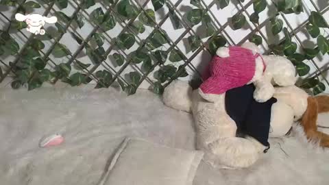 Snapshot of charly_evans60 chatting on March 9, 2025, 4:49 am charly_evans60 online show from March 9, 2025, 4:49 am