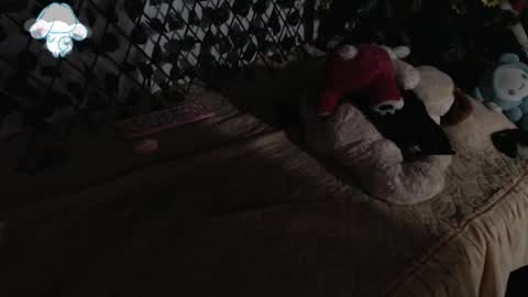 Snapshot of charly_evans60 chatting on March 12, 2025, 2:41 am charly_evans60 online show from March 12, 2025, 2:41 am