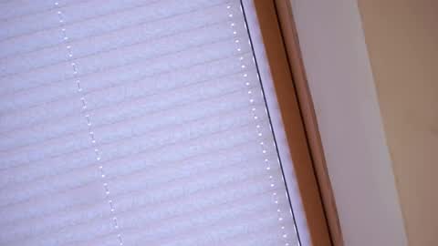 Sofia online show from April 21, 2026, 1:42 am