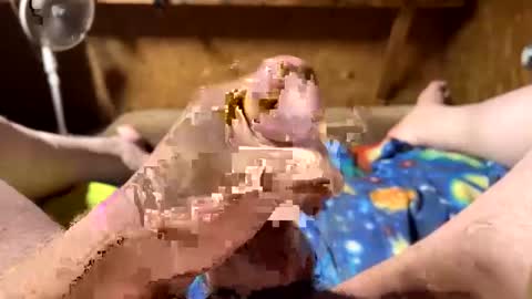 chasepeewee2 online show from February 16, 2025, 3:58 am